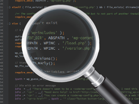 Code Auditing